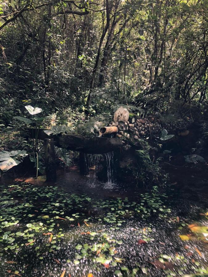 Sitio Porta Das Aguas 호텔 카샴부 외부 사진